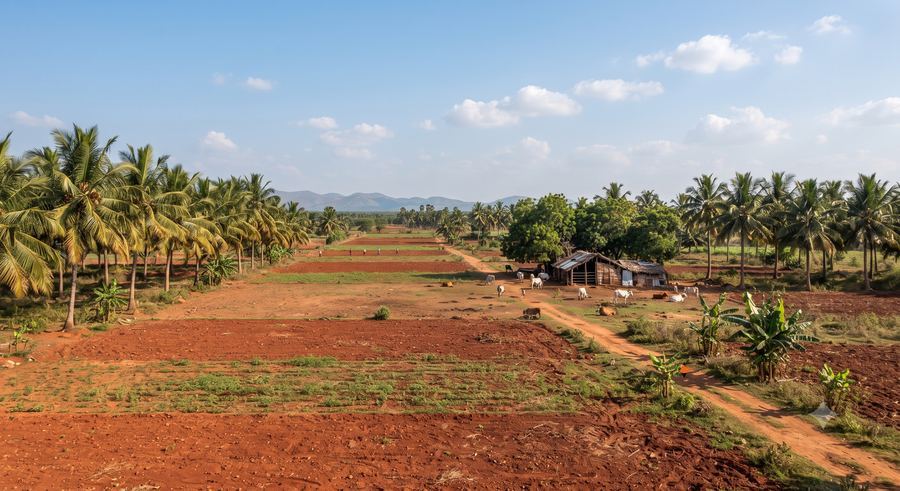 FarmZego farm in Salem