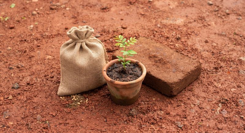 Garden starter combo